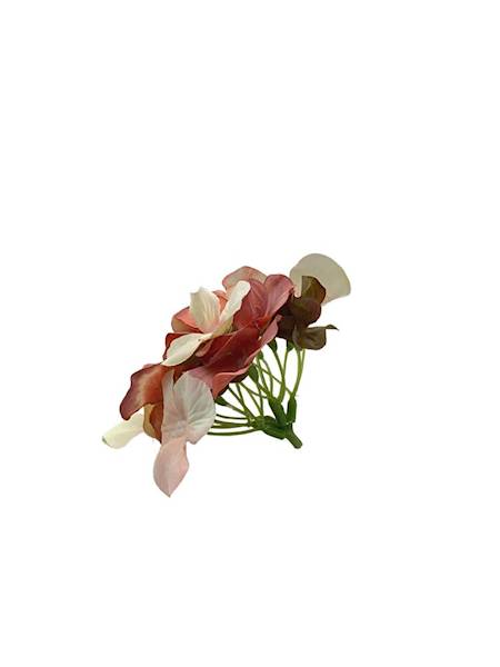 Hortensja główka 13 cm  róż, krem i zielony