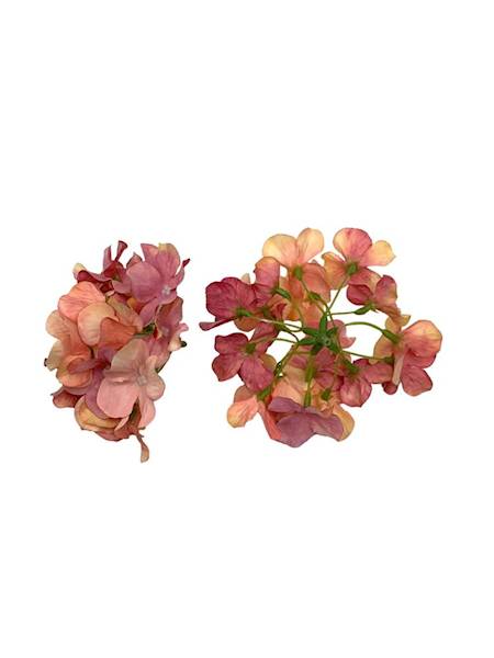 Hortensja główka 13 cm odcienie różu