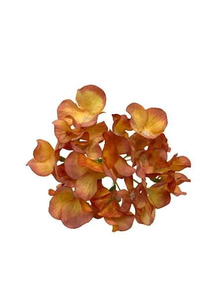 Hortensja główka 13 cm pomarańcz i żółty