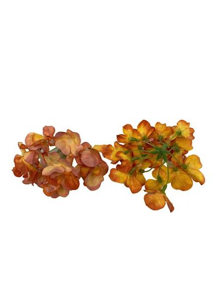 Hortensja główka 13 cm pomarańcz i żółty