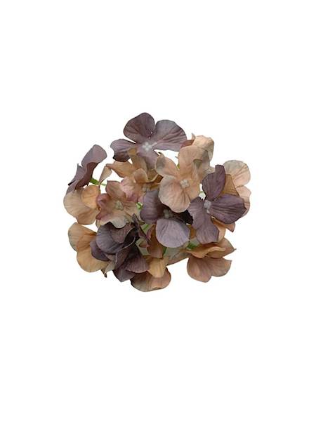Hortensja główka 13 cm brudny fiolet i brąz