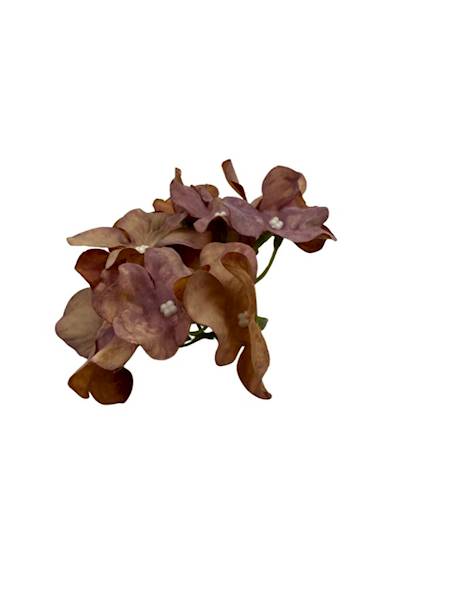 Hortensja główka 13 cm brudny fiolet i karmel