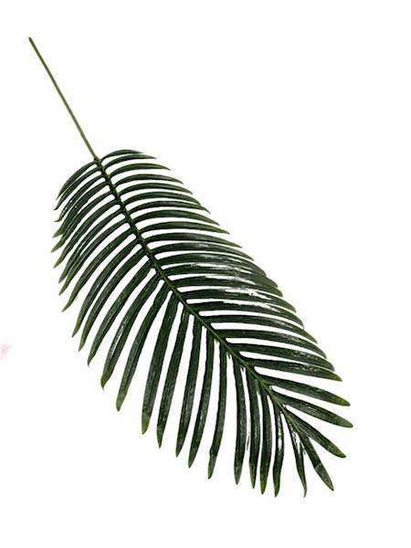 Liść palmy 105 cm