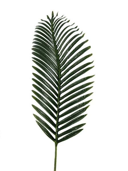 Liść palmy 105 cm