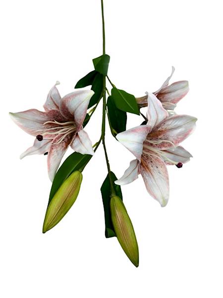 LILIA GAŁĄZKA 92 CM BIAŁO CZERWONA