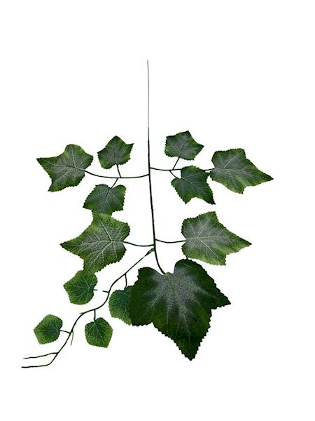 Liść winogrona 54 cm zielony