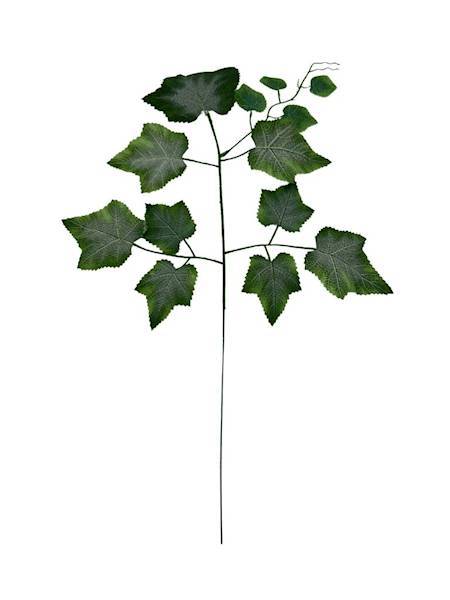 Liść winogrona 54 cm zielony