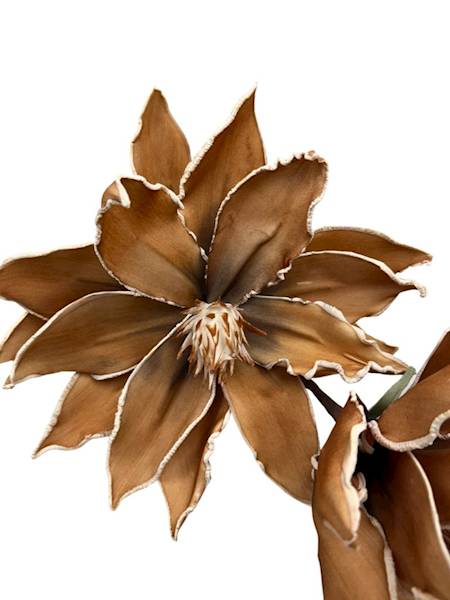 Magnolia kwiaty z pianki jasny brąz