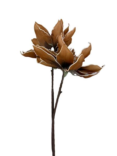 Magnolia kwiaty z pianki jasny brąz