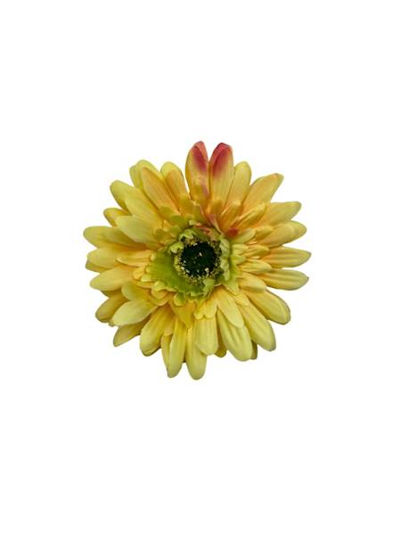 Gerbera główka 10 cm żółta