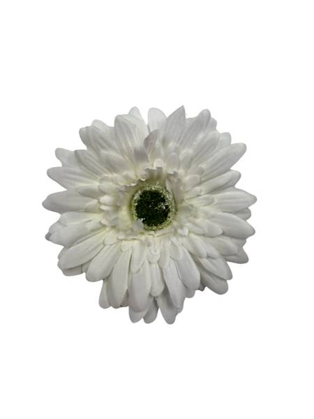 Gerbera główka 10 cm biała