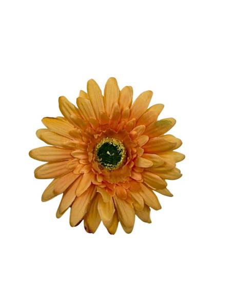 Gerbera główka 10 cm herbaciana