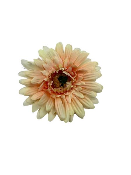 Gerbera główka 10 cm brzoskwiniowa