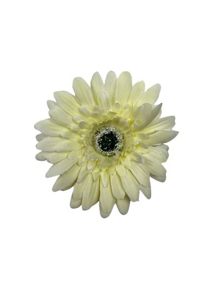Gerbera główka 10 cm kremowa