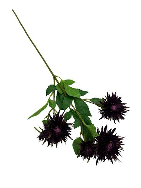 Aster gałązka 72 cm bakłażanowy