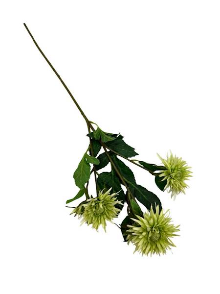 Aster gałązka 72 cm zielony