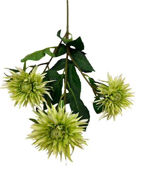 Aster gałązka 72 cm zielony