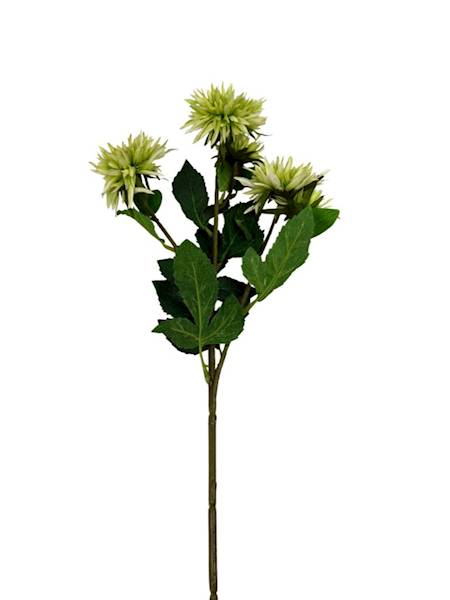 Aster gałązka 72 cm zielony