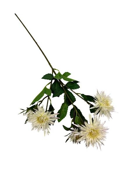 Aster gałązka 72 cm biały / jasny kremowy