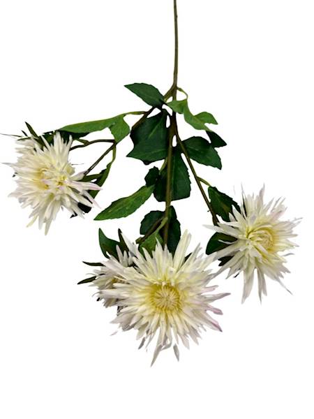 Aster gałązka 72 cm biały / jasny kremowy