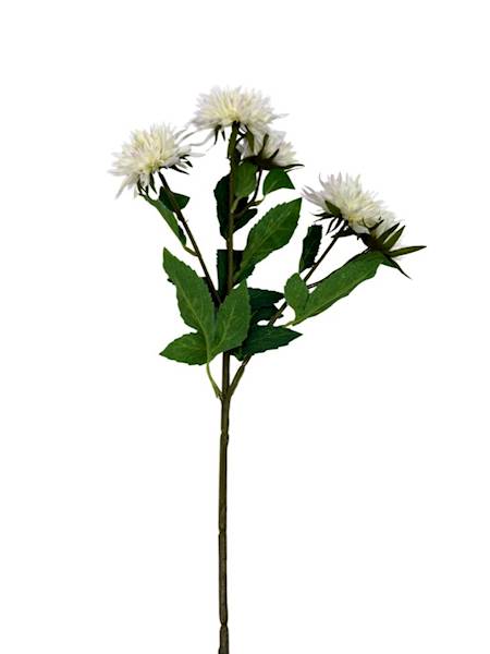 Aster gałązka 72 cm biały / jasny kremowy