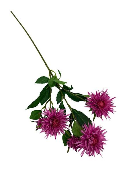Aster gałązka 72 cm róż