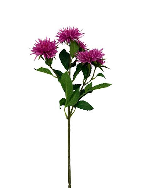 Aster gałązka 72 cm róż