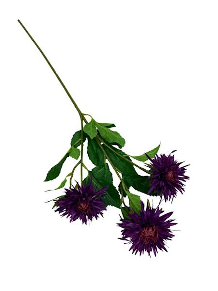 Aster gałązka 72 cm fiolet