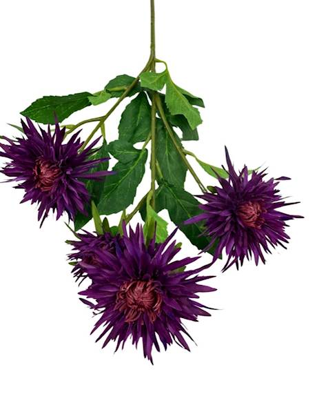 Aster gałązka 72 cm fiolet