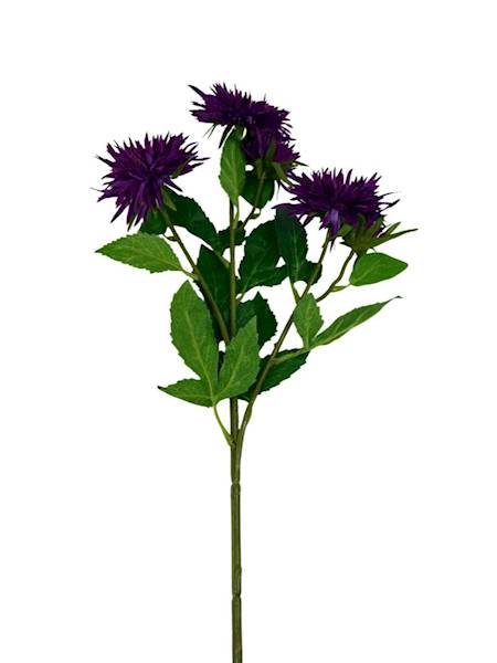 Aster gałązka 72 cm fiolet