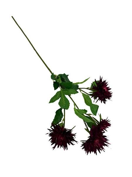 Aster gałązka 72 cm bordo