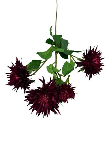 Aster gałązka 72 cm bordo