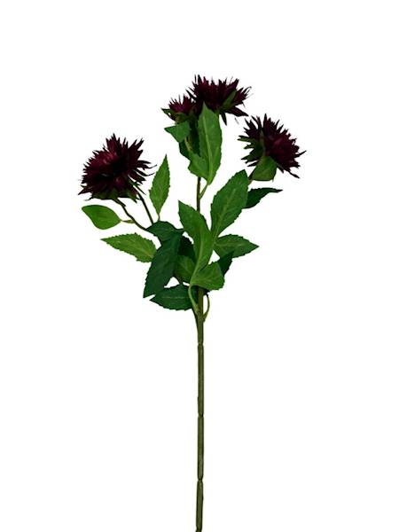 Aster gałązka 72 cm bordo