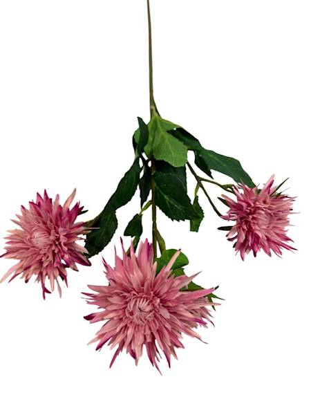 Aster gałązka 72 cm brudny róż