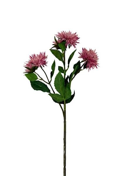 Aster gałązka 72 cm brudny róż