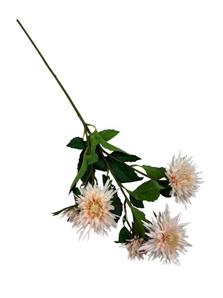 Aster gałązka 72 cm jasna brzoskwinia