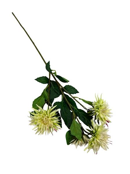 Aster gałązka 72 cm jasny zielony