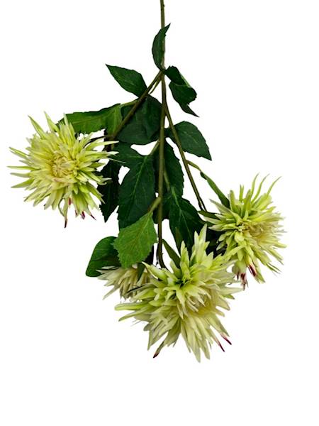 Aster gałązka 72 cm jasny zielony