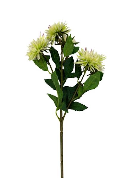 Aster gałązka 72 cm jasny zielony