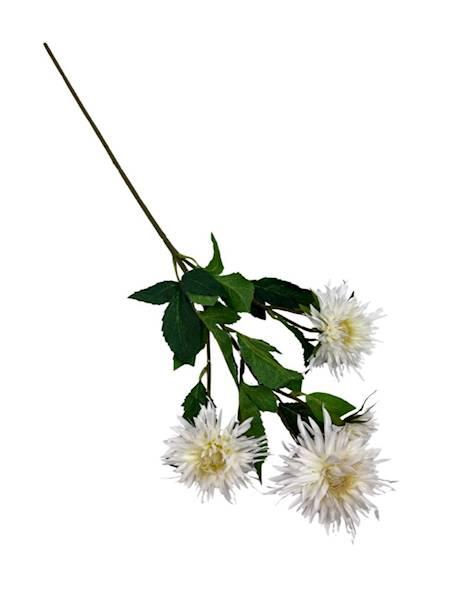 Aster gałązka 72 cm jasny krem