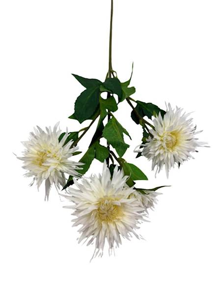 Aster gałązka 72 cm jasny krem