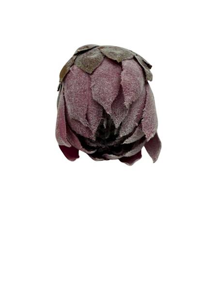 Protea główka 13 cm brudny róż