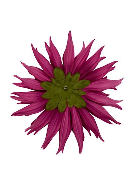 Dalia główka 18 cm ciemny róż