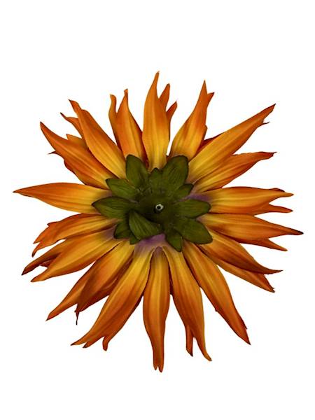 Dalia główka 18 cm żółty / pomarańcz