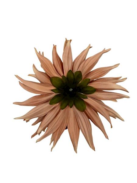 Dalia główka 18 cm jasny brąz / beż