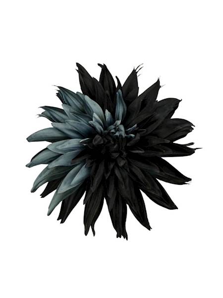 Dalia główka 18 cm czarno szara