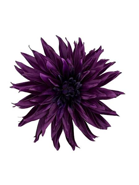 Dalia główka 18 cm fiolet