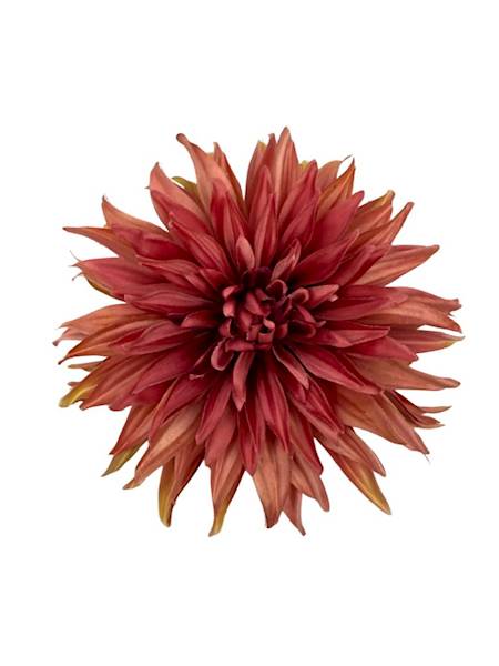 Dalia główka 18 cm brudny róż