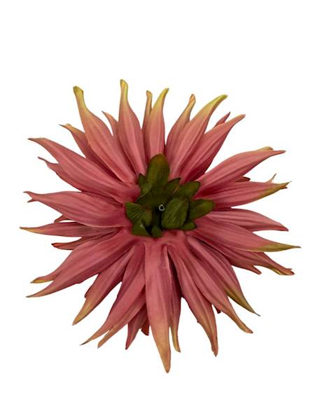 Dalia główka 18 cm brudny róż