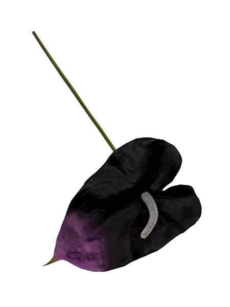 Anturium piankowe gałązka 70 cm czarno fioletowe